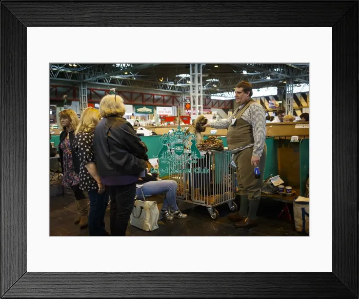 Framed Print : Crufts 2015 Framed Print : Crufts 2015