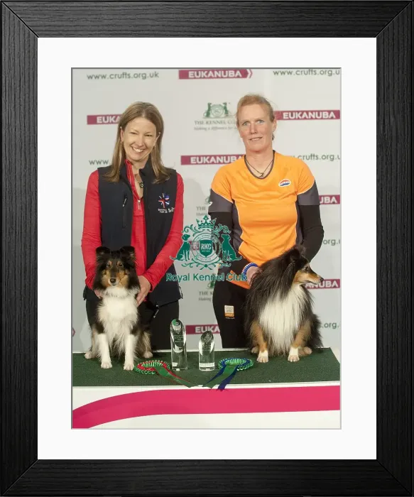 Framed Print : Crufts 2015 Framed Print : Crufts 2015