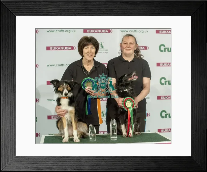 Framed Print : Crufts 2015 Framed Print : Crufts 2015