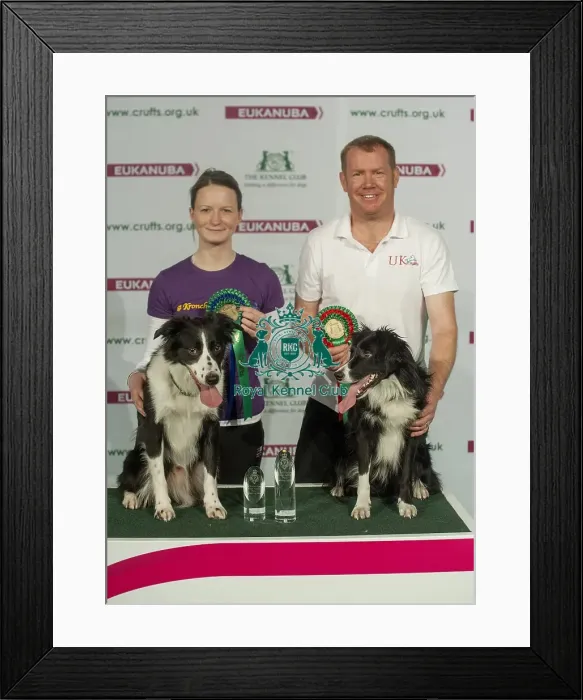 Framed Print : Crufts 2015 Framed Print : Crufts 2015