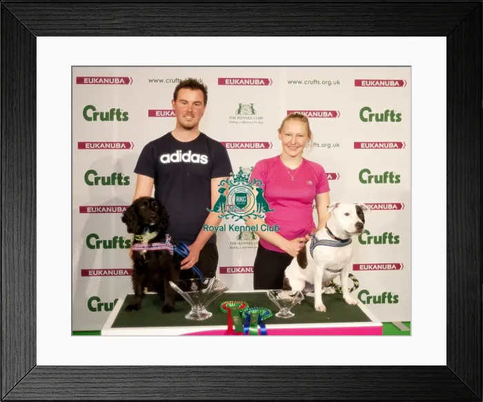 Framed Print : Crufts 2015 Framed Print : Crufts 2015