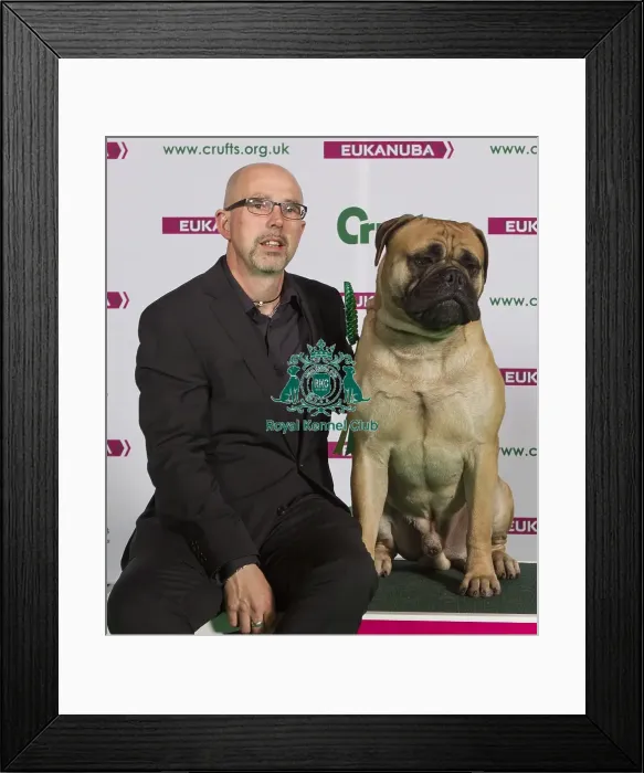 Framed Print : Crufts 2015 Framed Print : Crufts 2015