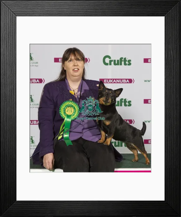 Framed Print : Crufts 2015