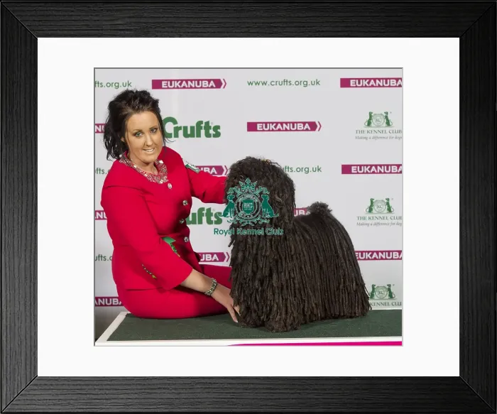Framed Print : Crufts 2015 Framed Print : Crufts 2015