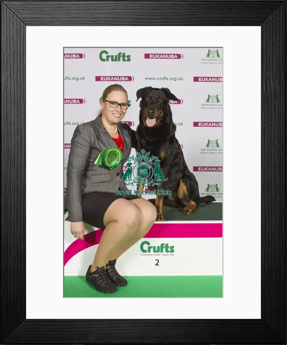 Framed Print : Crufts 2015 Framed Print : Crufts 2015