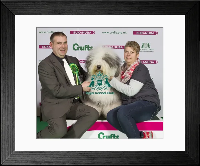 Framed Print : Crufts 2015 Framed Print : Crufts 2015
