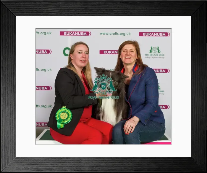 Framed Print : Crufts 2015 Framed Print : Crufts 2015