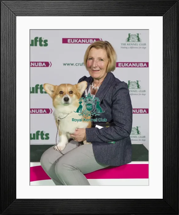 Framed Print : Crufts 2015 Framed Print : Crufts 2015