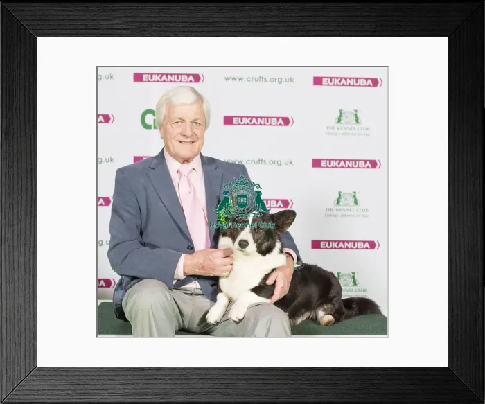 Framed Print : Crufts 2015