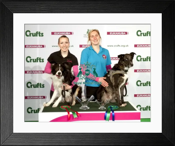Framed Print : Crufts 2015