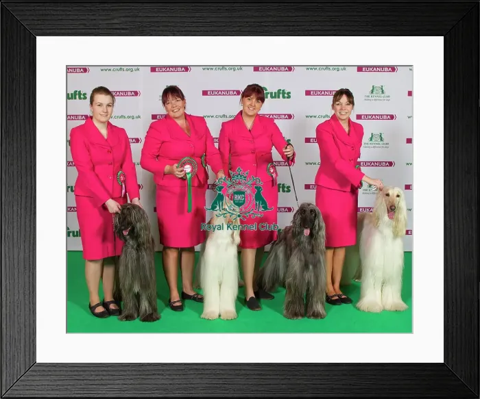Framed Print : Crufts 2015
