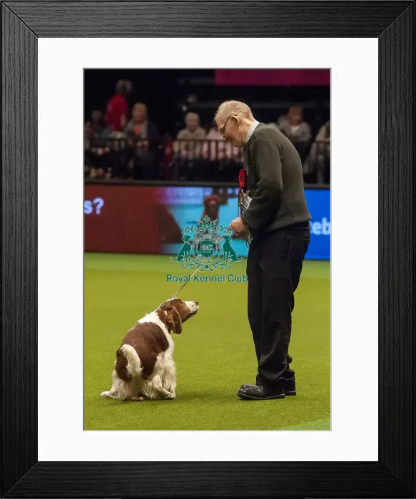 Framed Print : Crufts 2015 Framed Print : Crufts 2015
