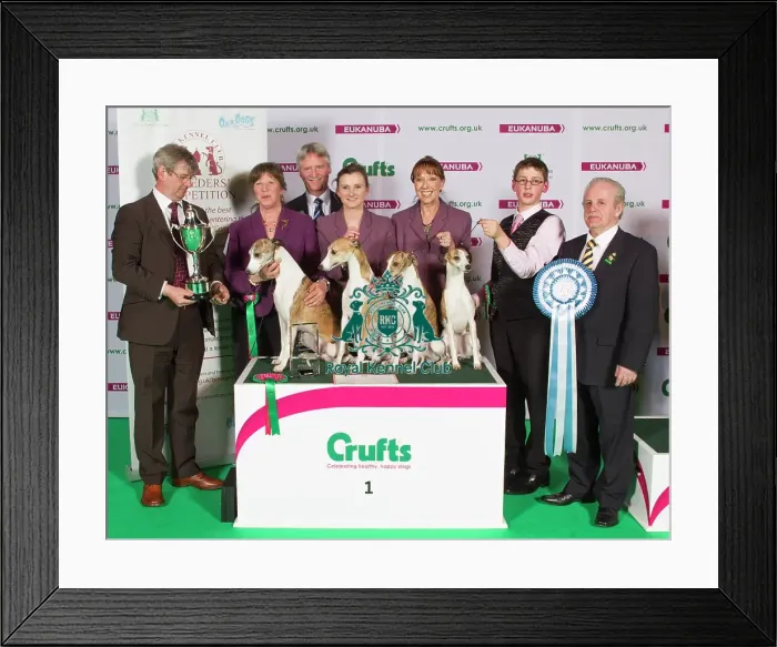 Framed Print : Crufts 2015 Framed Print : Crufts 2015