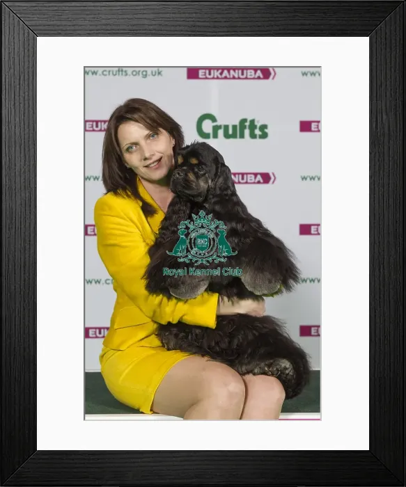 Framed Print : Crufts 2015 Framed Print : Crufts 2015