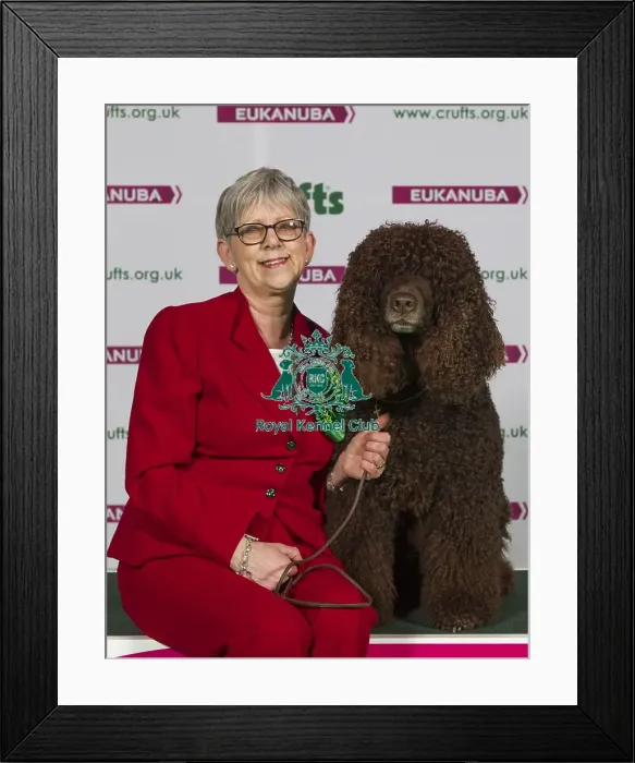Framed Print : Crufts 2015 Framed Print : Crufts 2015