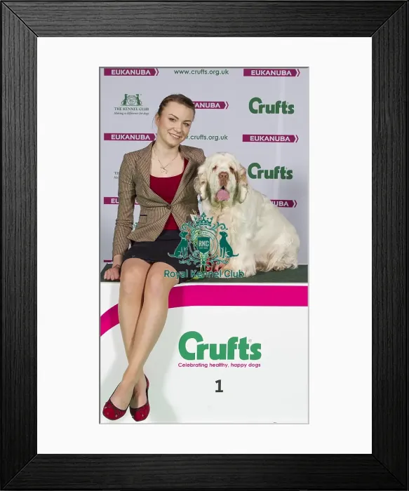 Framed Print : Crufts 2015