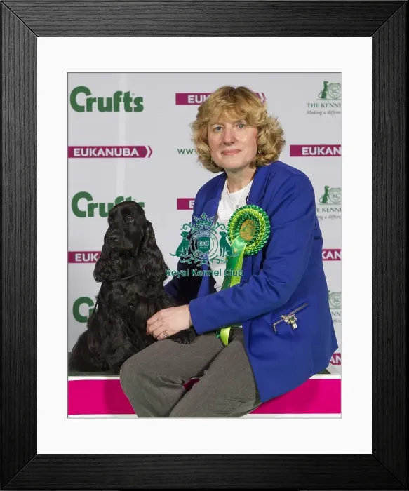 Framed Print : Crufts 2015 Framed Print : Crufts 2015