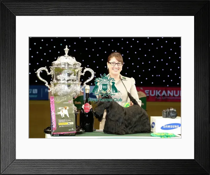 Framed Print : Rebecca Cross from Geithsburg, PA, USA with Kanopa a Scottish Terrier, which won