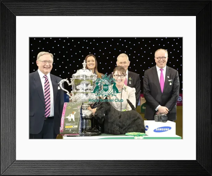 Framed Print : Rebecca Cross from Geithsburg, PA, USA with Kanopa a Scottish Terrier, which won Framed Print : Rebecca Cross from Geithsburg, PA, USA with Kanopa a Scottish Terrier, which won