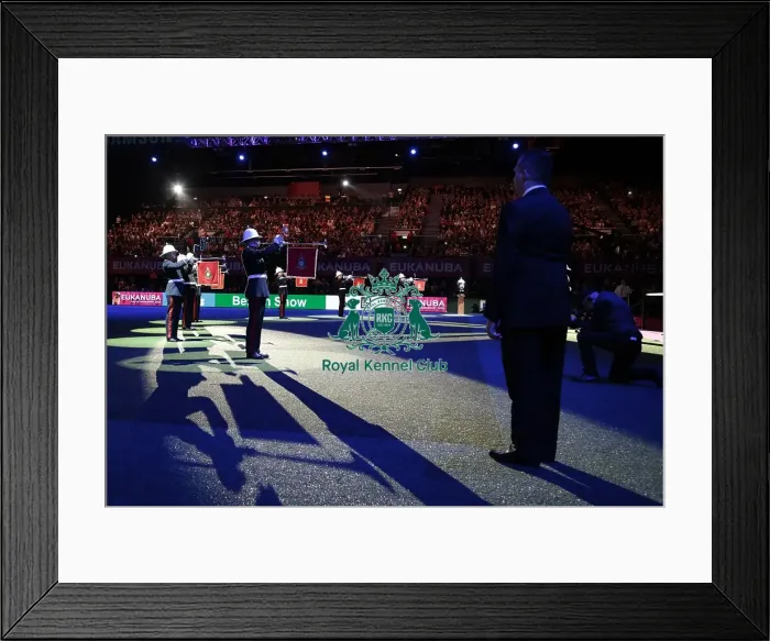 Framed Print : Picture shows Royal Marines Band as they open the Best in Show final today (Sunday 08 Framed Print : Picture shows Royal Marines Band as they open the Best in Show final today (Sunday 08