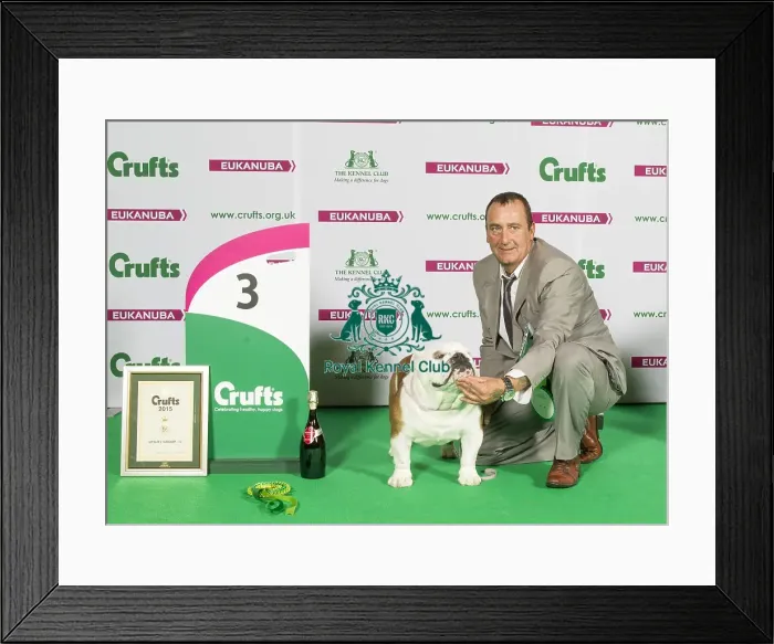Framed Print : Crufts 2015 Framed Print : Crufts 2015