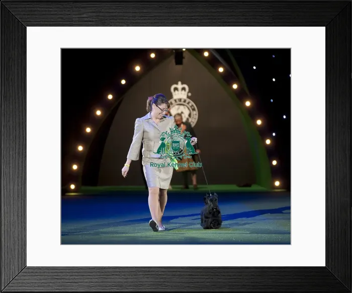 Framed Print : Crufts 2015 Framed Print : Crufts 2015