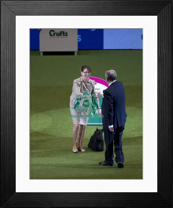 Framed Print : Crufts 2015