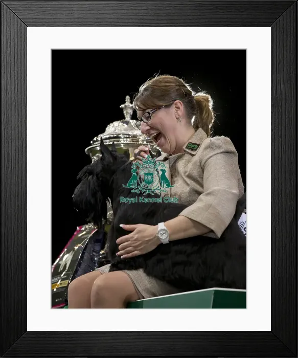 Framed Print : Crufts 2015 Framed Print : Crufts 2015