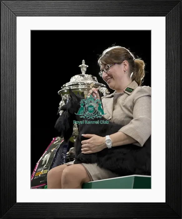 Framed Print : Crufts 2015 Framed Print : Crufts 2015