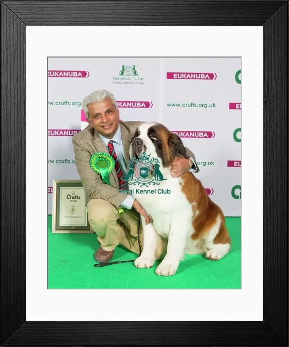 Framed Print : Crufts 2015 Framed Print : Crufts 2015