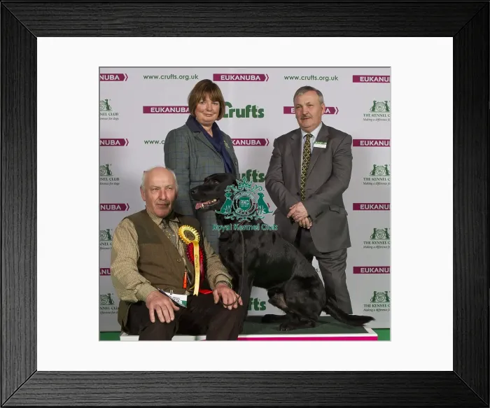 Framed Print : Crufts 2015