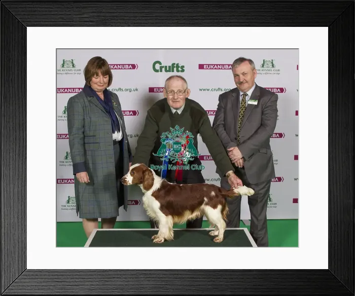 Framed Print : Crufts 2015