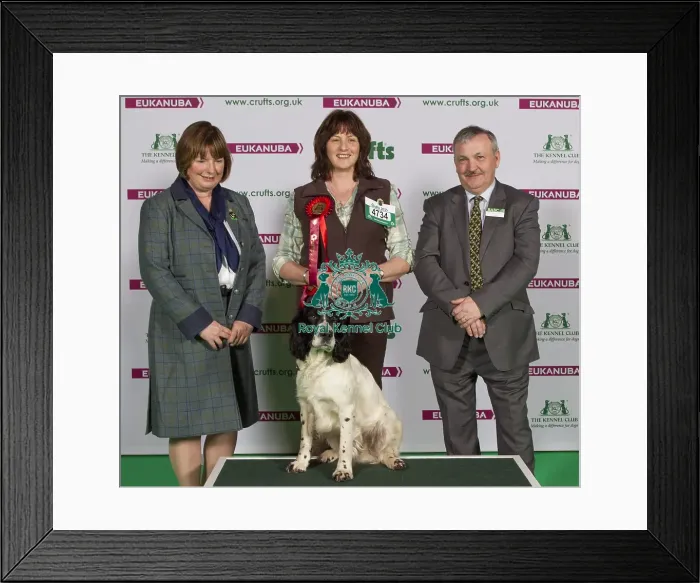 Framed Print : Crufts 2015 Framed Print : Crufts 2015