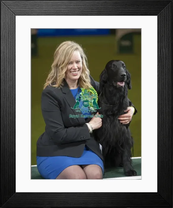 Framed Print : Crufts 2015 Framed Print : Crufts 2015