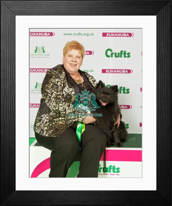 Framed Print : Crufts 2015 Framed Print : Crufts 2015