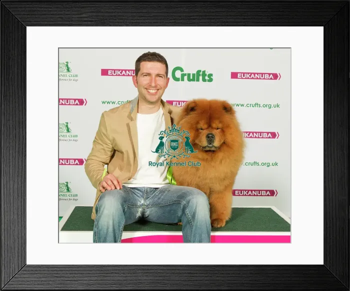 Framed Print : Crufts 2015 Framed Print : Crufts 2015