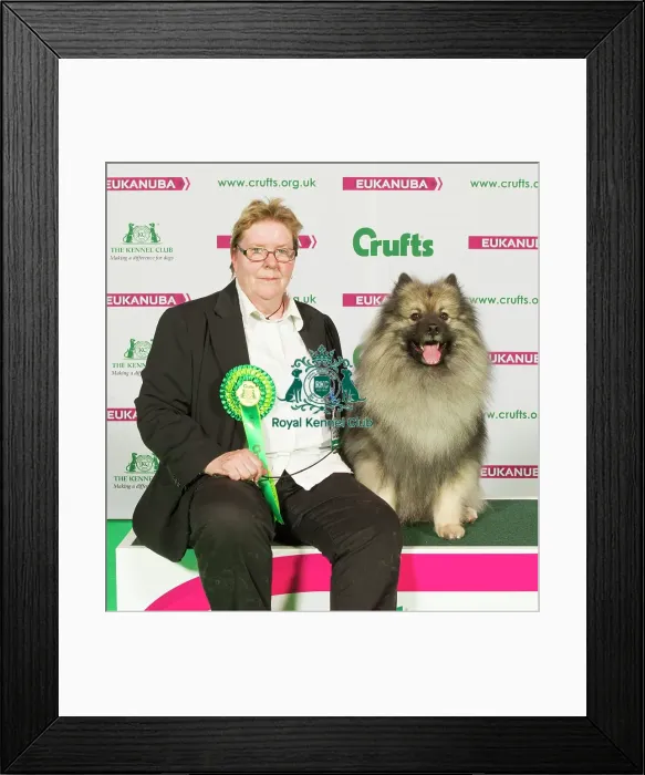 Framed Print : Crufts 2015