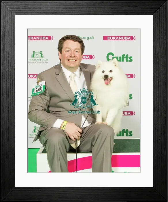 Framed Print : Crufts 2015 Framed Print : Crufts 2015