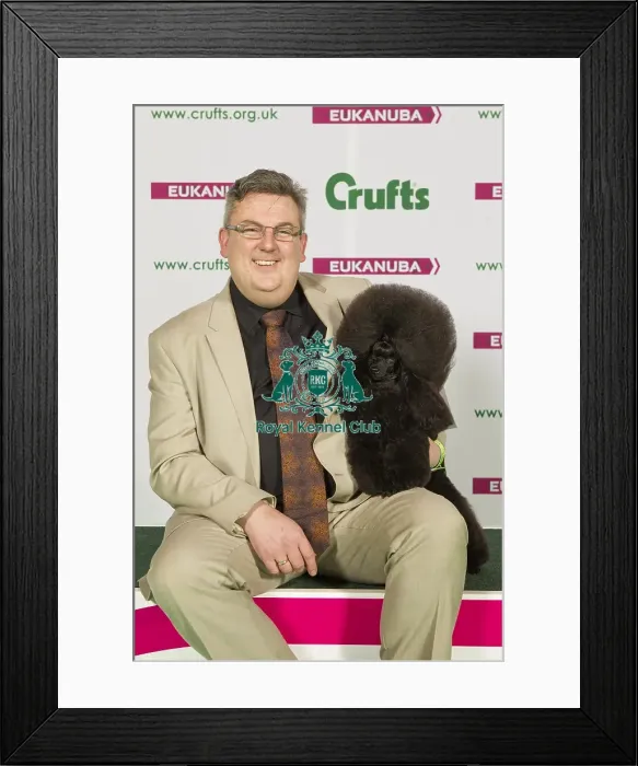 Framed Print : Crufts 2015 Framed Print : Crufts 2015