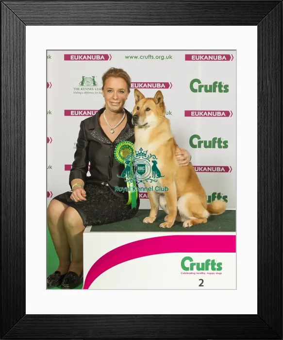 Framed Print : Crufts 2015 Framed Print : Crufts 2015