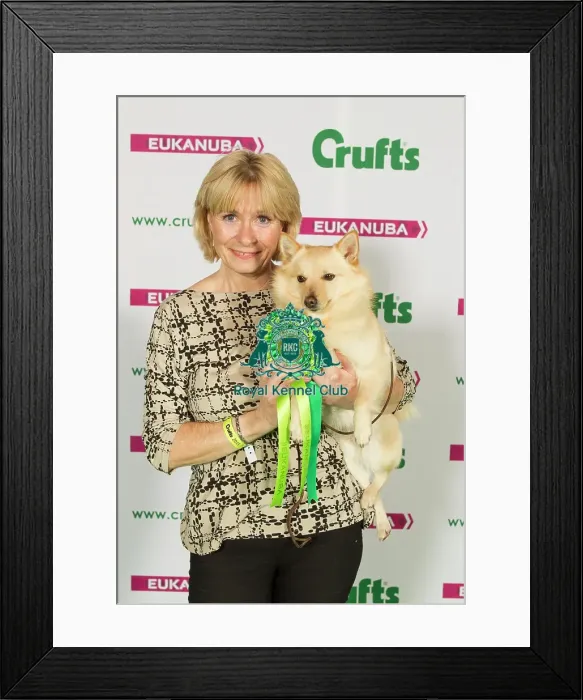 Framed Print : Crufts 2015 Framed Print : Crufts 2015