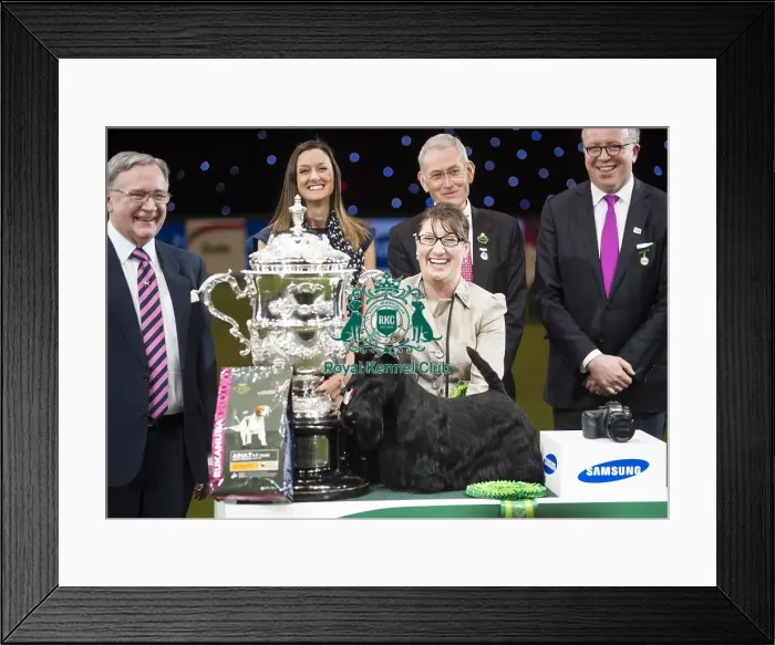 Framed Print : Crufts 2015 Framed Print : Crufts 2015