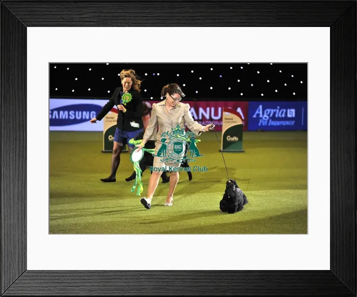 Framed Print : Crufts 2015 Framed Print : Crufts 2015