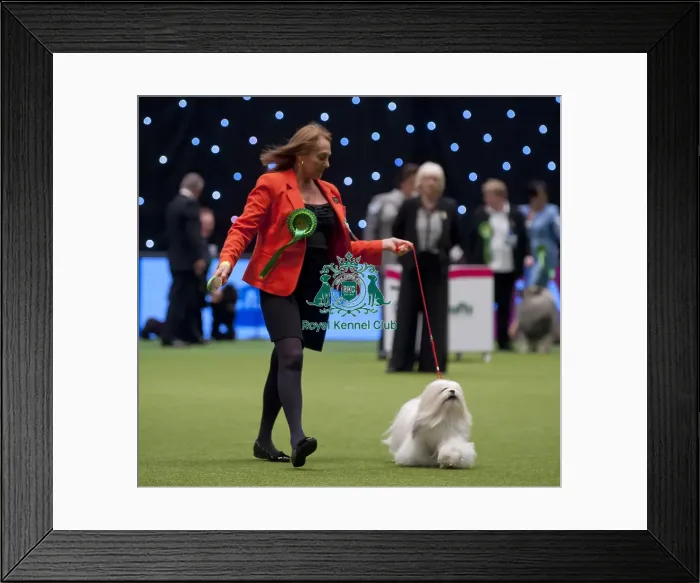Framed Print : Crufts 2015 Framed Print : Crufts 2015