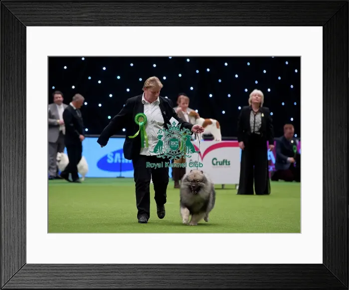Framed Print : Crufts 2015 Framed Print : Crufts 2015
