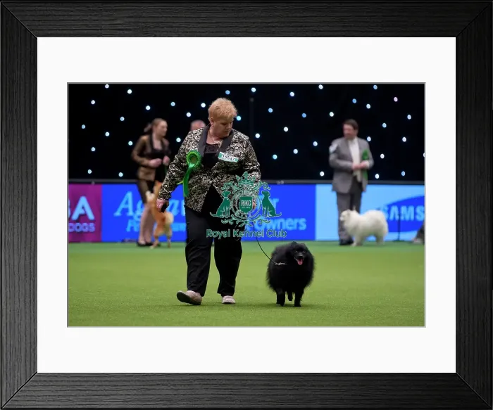 Framed Print : Crufts 2015 Framed Print : Crufts 2015