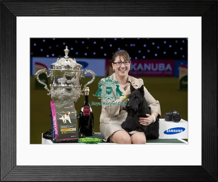 Framed Print : Crufts 2015