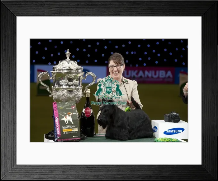 Framed Print : Crufts 2015