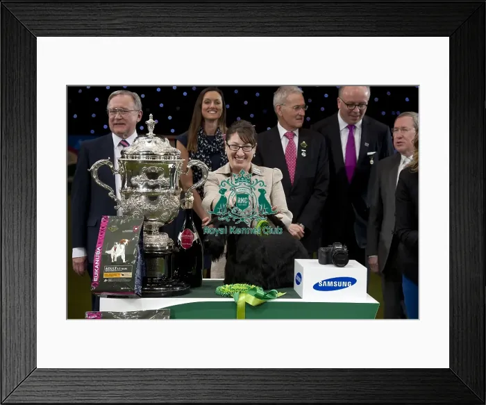 Framed Print : Crufts 2015 Framed Print : Crufts 2015