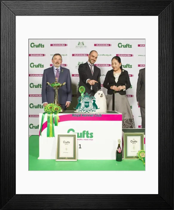 Framed Print : Crufts 2015 Framed Print : Crufts 2015